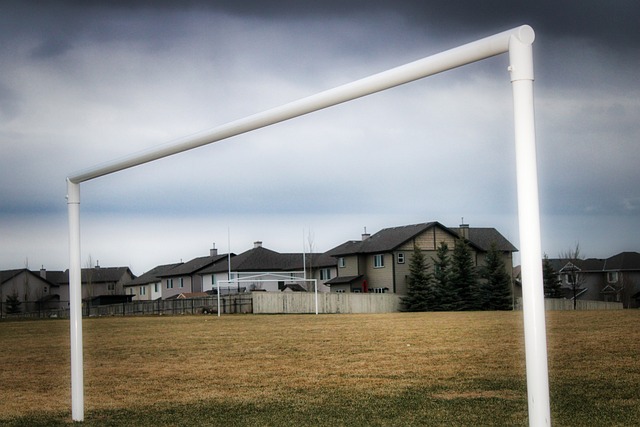 也為這支球 也為這支球