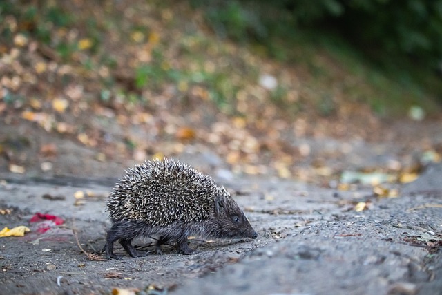 总能让我找 总能让我找