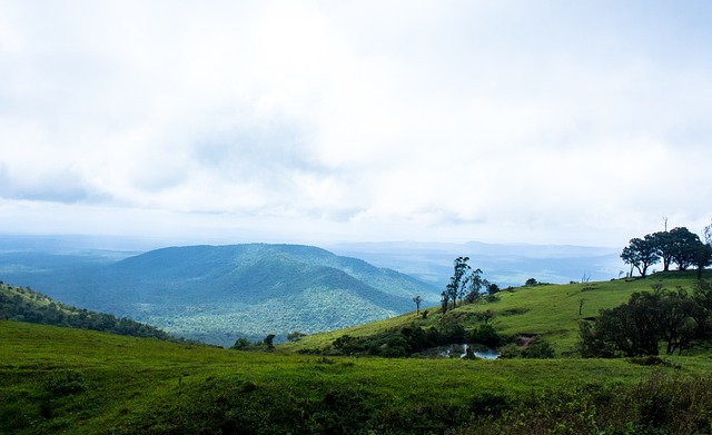 拉齐奥急需 拉齐奥急需