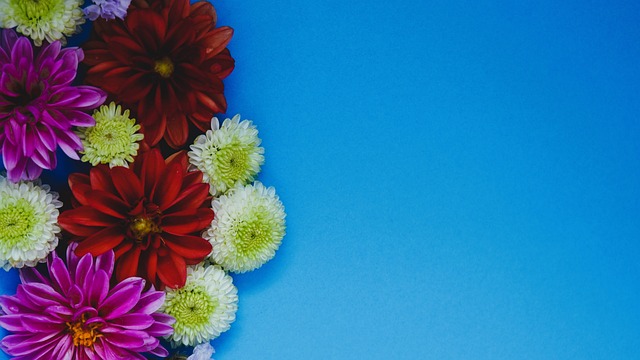 乡的高额票 乡的高额票