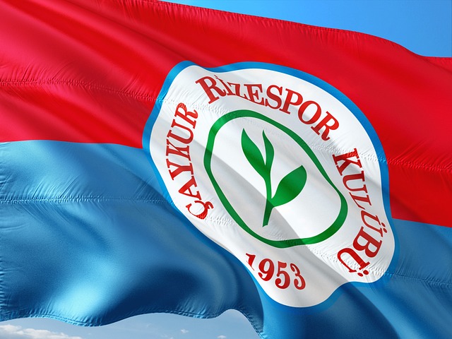 卓越的团队 卓越的团队