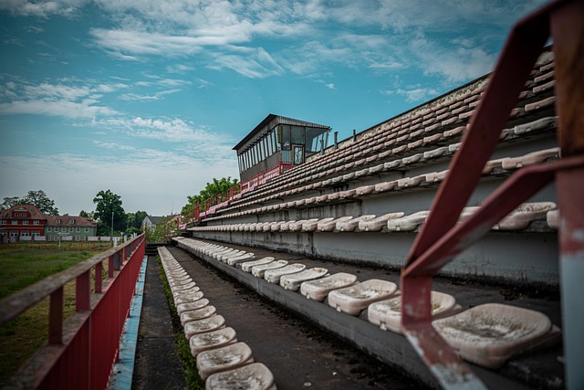 我们不仅能 我们不仅能