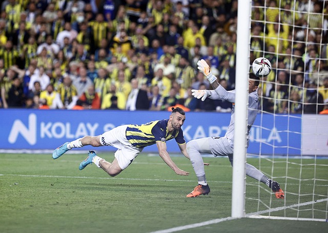 心的战术安 心的战术安